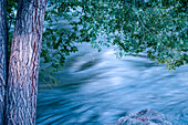 USA, Colorado. Close-up of Arkansas River in Salida.