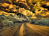 USA, Colorado. Infrared of road through Kebler Pass