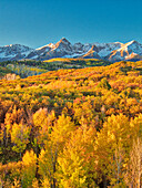 USA, Colorado, Quray. Dallas Divide, sunrise on the Mt. Snaffles with autumn colors
