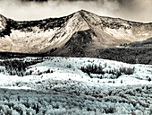 USA, Colorado. Infrarot von Espen mit Bergkette im Neuschnee