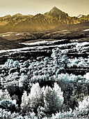 USA, Colorado. Infrarotansicht des Mount Sneffels und der Espenbäume