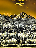 USA, Colorado. Infrarotansicht des Mount Sneffels und der Espenbäume