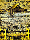 USA, Colorado. Infrared of old barn along Last Dollar Road