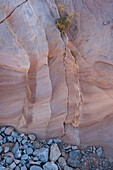 USA, Nevada. Abstrakte Linien im Sandstein, Valley of Fire State Park.