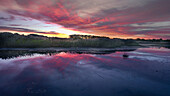 USA, New Jersey, Cape May National Seashore. Sonnenaufgang im Sumpfgebiet.