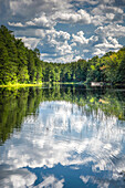 USA, New Jersey, Pine Barrens National Preserve. Forest reflections in lake at sunrise.