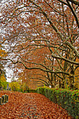 USA, Sleepy Hollow. Sleepy Hollow Cemetery. (PR)