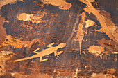 Eidechsen-Petroglyphen im Fremont-Stil am Cub Creek, Dinosaur National Monument