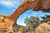 Owachomo Bridge, Natural Bridges National Monument, Utah.