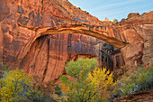 Escalante Natural Bridge, Grand Staircase-Escalante National Monument, Utah.