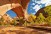 Jacob Hamblin Arch seen from beneath adjacent giant sandstone in Coyote Gulch, Glen Canyon National Recreation Area, Utah.