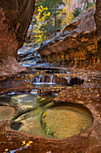 Emerald green pools in The Subway, Left Fork of North Creek, Zion National Park, Utah.
