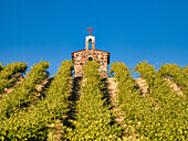 Red Willow Vineyards mit Steinkapelle. (PR)