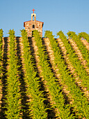 Red Willow Vineyards with stone chapel. (PR)