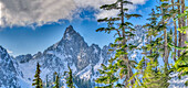 USA, Washington State, Alpine Lakes Wilderness. Panorama view of Kaleetan Peak and alpine fir trees