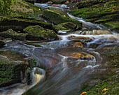 USA, West Virginia, Blackwater Falls State Park. Nahaufnahme eines Stromschnellen-Wasserfalls über Felsen.
