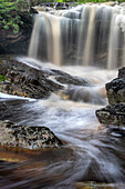 USA, West Virginia, Canaan Valley State Park. Blackwater River waterfall and rapids.