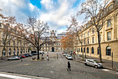 Eine Person geht über den von Bäumen gesäumten Platz Saint-Gervais-Saint-Protais mit dem Hôtel de Ville in Paris im Hintergrund.