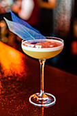 Contemporary sour cocktail served in elegant coupe glass garnished with creative blue decoration served on bar counter