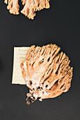 Von oben frischer Ramaria-Pilz neben Memo und Wurzel auf schwarzem Tisch platziert