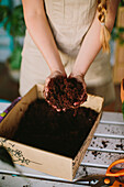 Crop anonymous female florist in apron demonstrating handful of soil from box while transplanting plants in orangery