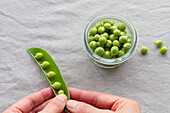 From above of cropped unrecognizable person hands peeling green pea pods on table at home