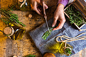From above of crop lady cutting rosemary sprigs with scissors at table with fabric and rope near essential oil glass bottles and small chest