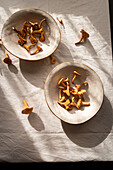 High angle of chanterelle mushroom on bowl placed on table at sunlight in countryside home