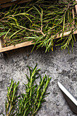 From above of herbs sprigs with green leaves in small wooden chest near scissors on gray surface
