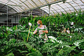 Professional female florist in protective mask examining green plants while working in glasshouse during coronavirus pandemic