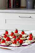 From above of yummy appetizers with fresh eggplants mozzarella whole cherry tomatoes olive oil and onion