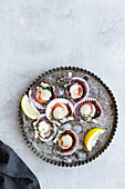 Frische, appetitliche Jakobsmuscheln in Muscheln, serviert auf Eis auf einem Teller mit Zitronenscheiben (Draufsicht)