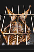 Delicious cut roasted suckling lamb with ribs hanging on metal grid in barbecue grill in light cafe during cooking process