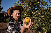 Traurige ethnische Bäuerin mit reifem, von Insekten zerstochenem Apfel im Garten eines Dorfes