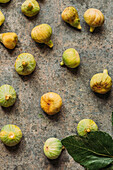 Ripe sweet green figs, freshly harvested from domestic tree, on grunge texture from above. Also known as ripe white figs