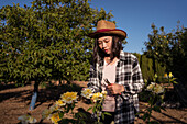 Ethnic female farmer enjoying scent of aromatic yellow roses growing in garden in countryside in summer