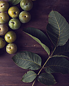 From above of fresh ripe plums and green leaves placed on wooden table in daytime