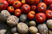 Nahaufnahme eines Haufens roter Tomaten und Kartoffeln auf dem Boden (Draufsicht)