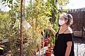 Seitenansicht einer reifen Einkäuferin mit Textilmaske, die an einem sonnigen Tag in einem Gartengeschäft grüne Bäume in Töpfen pflückt
