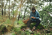 Serious female mycologist sitting on mossy boulder looking at Lactarius deliciosus mushroom in forest with basket