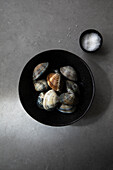 Draufsicht auf eine Schüssel mit ungekochten Venusmuscheln und Salz auf einer grauen Tischplatte bei der Zubereitung von Speisen