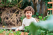 Lockig behaarter Junge steht neben einem Gartenbeet mit gepflanzten Sprossen im Garten und schaut in die Kamera
