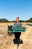 Ganzkörperaufnahme einer Frau, die einen Plastikbehälter mit reifen Himbeeren trägt, während sie in einem landwirtschaftlichen Betrieb auf dem Lande arbeitet