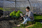 Side view full body of male horticulturist using netbook near wheelbarrow with lettuce seedlings and hydroponic glasshouse in agricultural farm