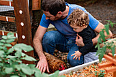 Erntemann von oben, auf den Hüften sitzend und seinen lockigen Sohn in einem Bauernhof mit Hühnern und Gartenbeet umarmend