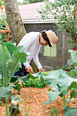 Focused male gardener in hat digging ground with tools while working in garden with cultivated vegetables