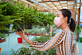 Seitenansicht einer jungen ethnischen Käuferin mit steriler Maske, die eine Topfpflanze in einem Gartencenter auswählt