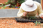 Female gardener smelling leaves of sapling while planting seeds in tray in garden in countryside