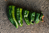 Top view close-up of a pile of green peppers on the ground