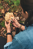 Von oben abgeschnittene unerkennbare Mykologin, die im Wald Schmutz von einem Ramaria-Pilz entfernt